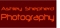 Ashley Shepherd Photography
